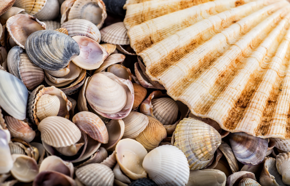 16 — разные фоны