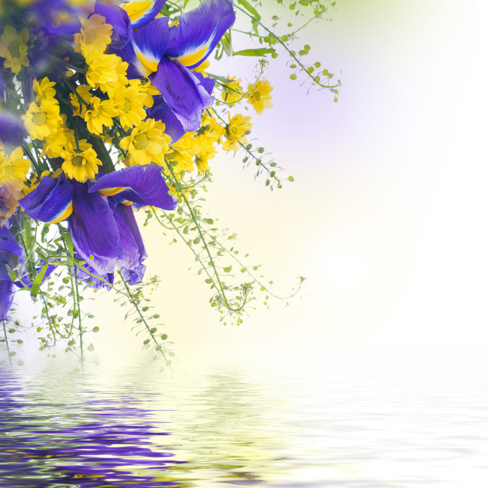 03 — цветы — растения — фрукты