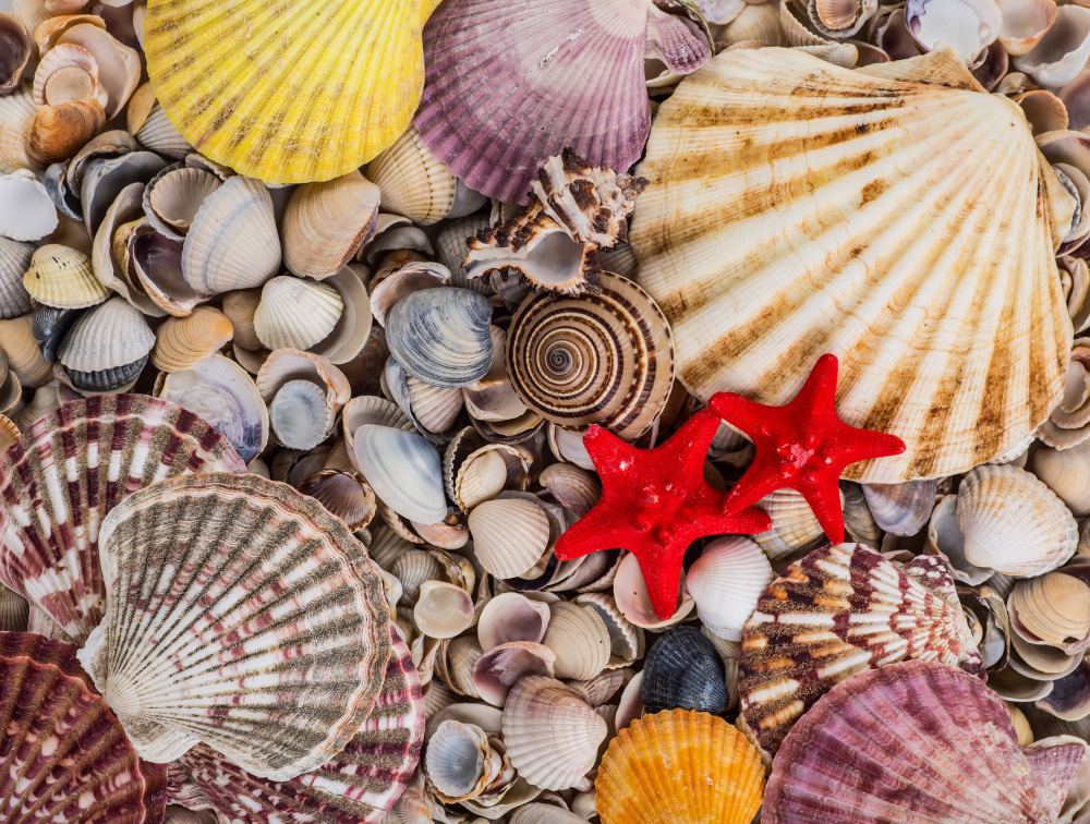 16 — разные фоны