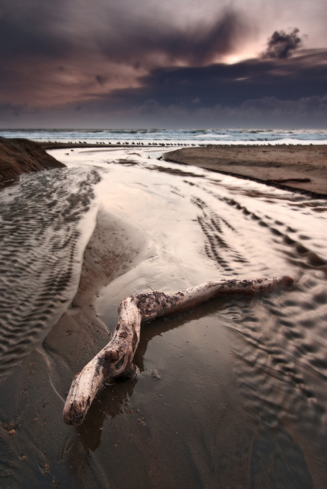 05 - природа и пейзажи