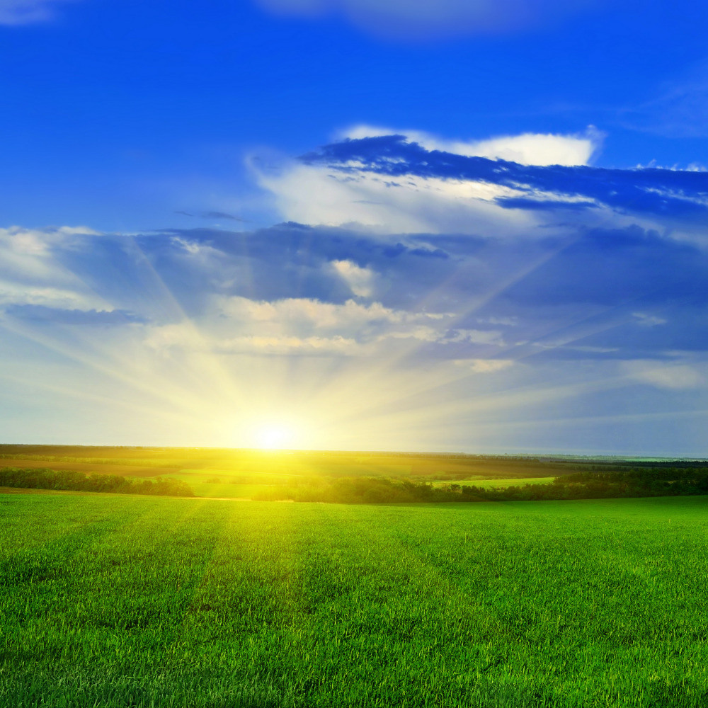 05 - природа и пейзажи