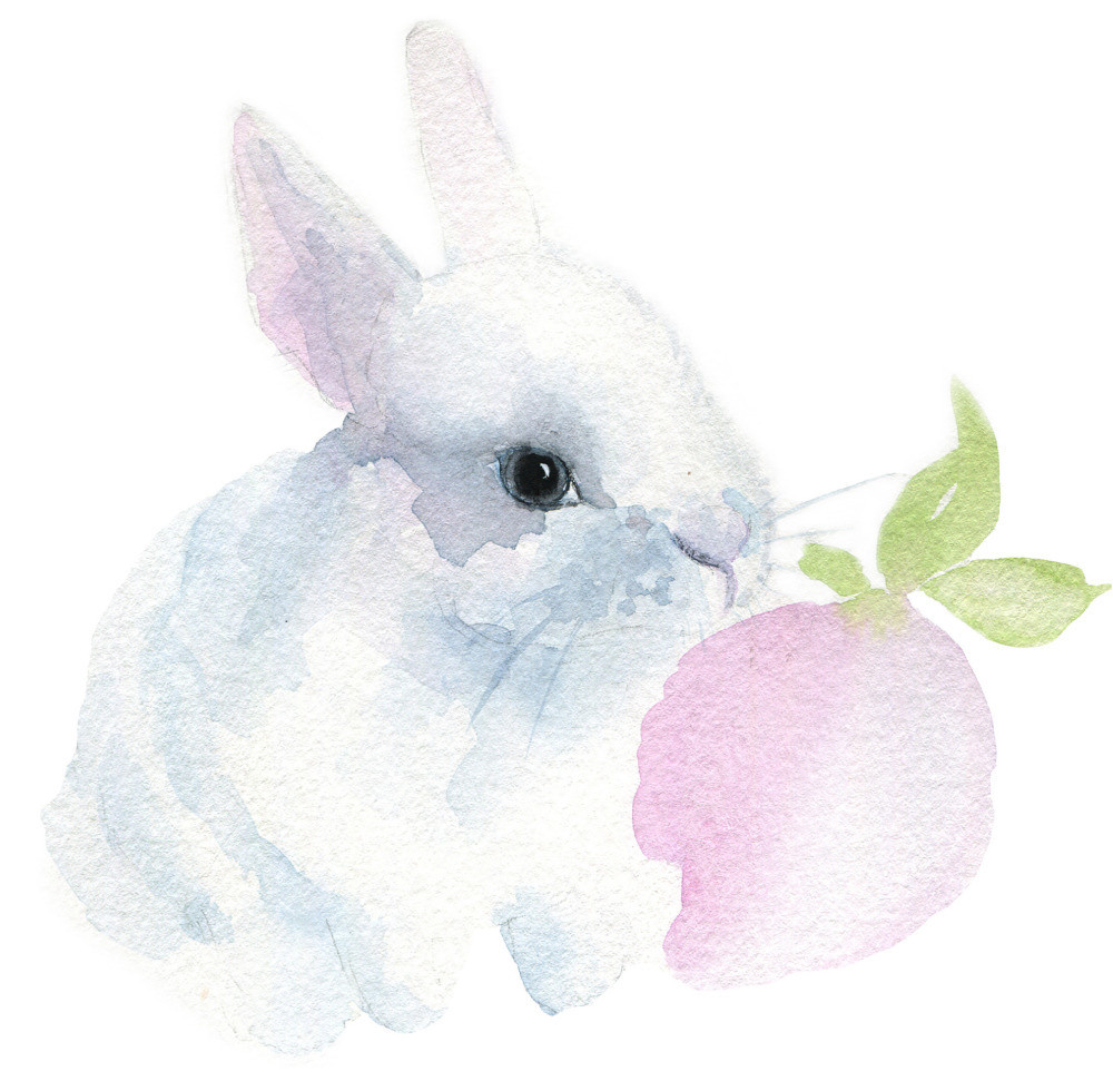 04 — животный и водный мир