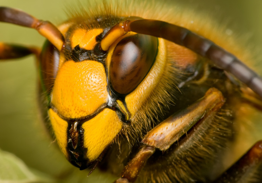 04 — животный и водный мир