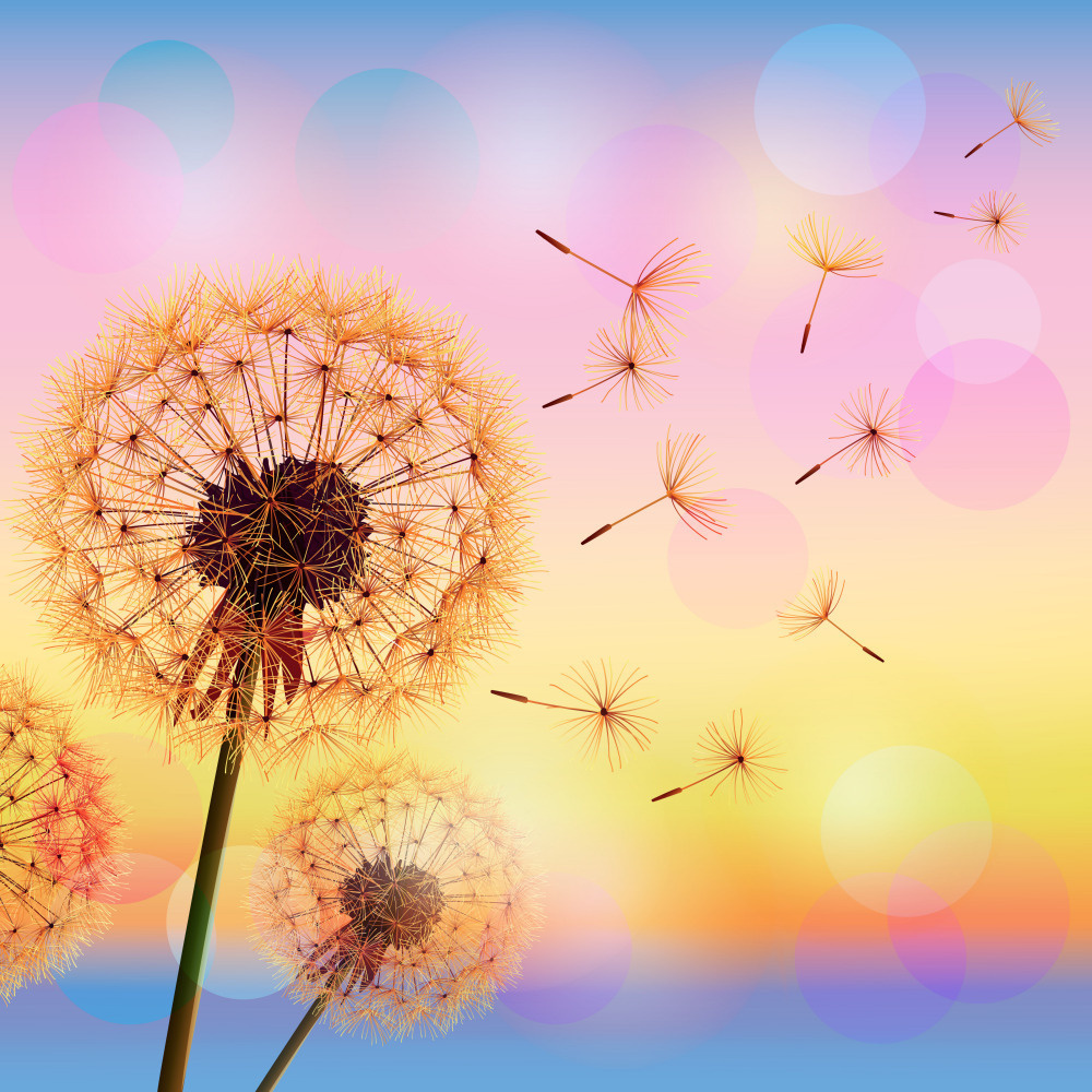 08 — дизайнерские принты