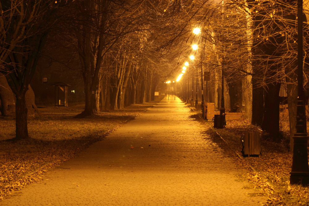 05 - природа и пейзажи