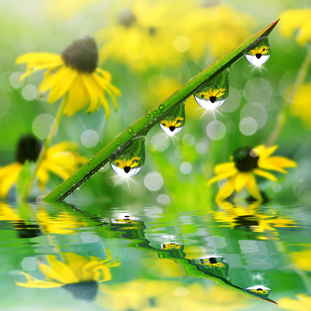 05 - природа и пейзажи