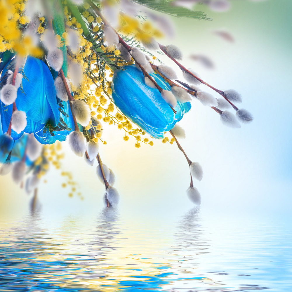 03 — цветы — растения — фрукты