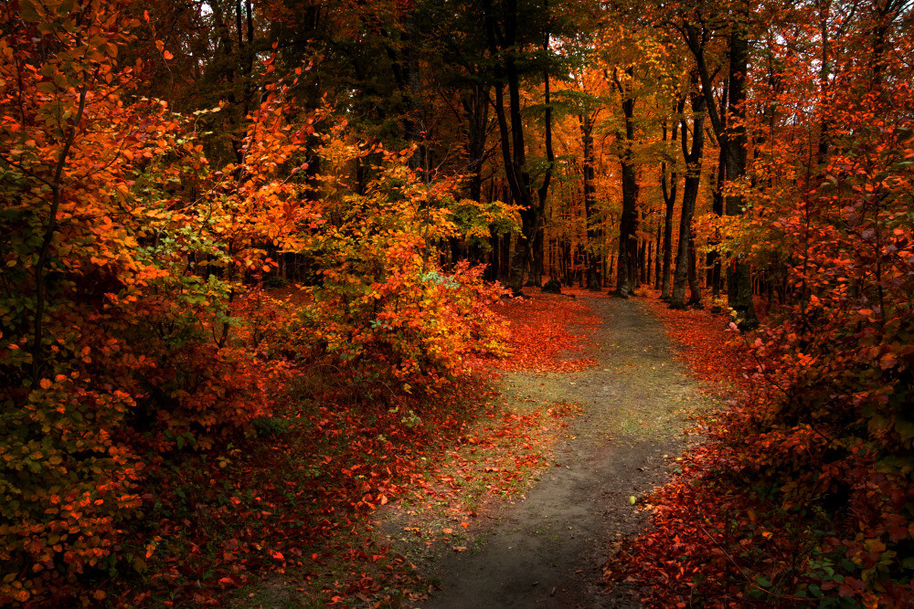 05 - природа и пейзажи