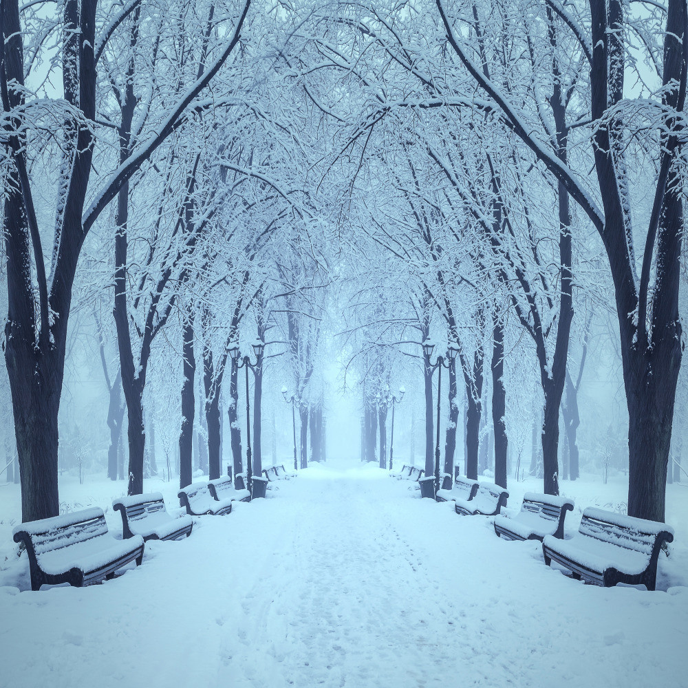 05 - природа и пейзажи