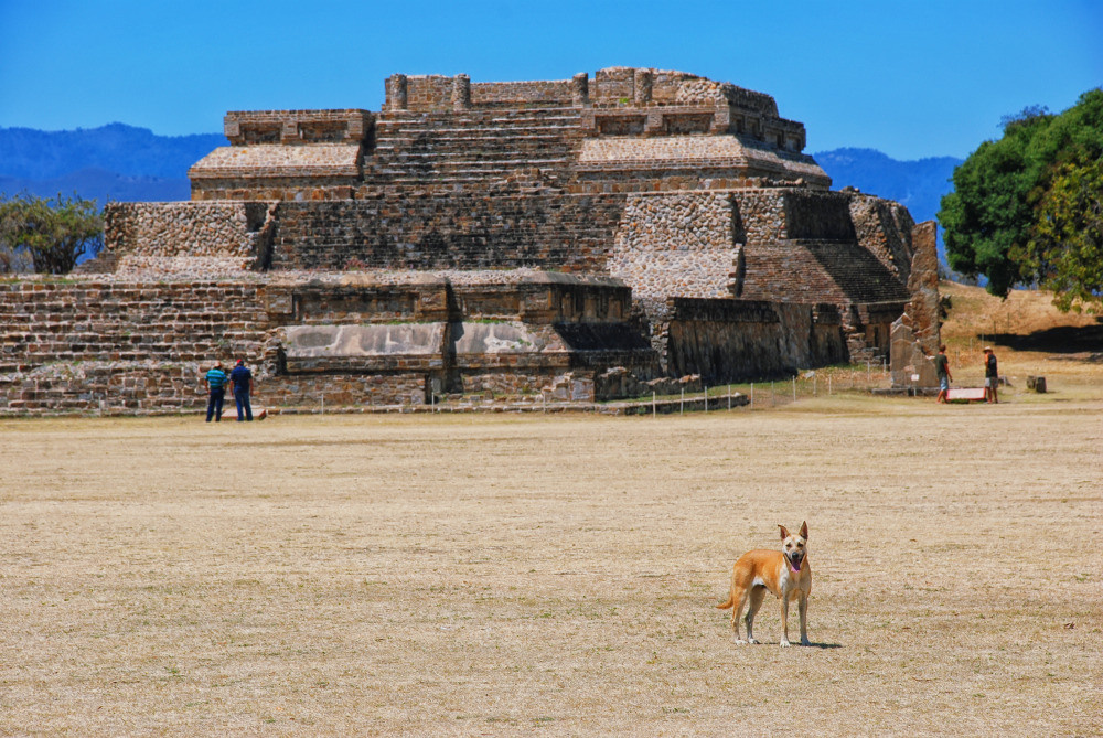 01 — города и архитектура