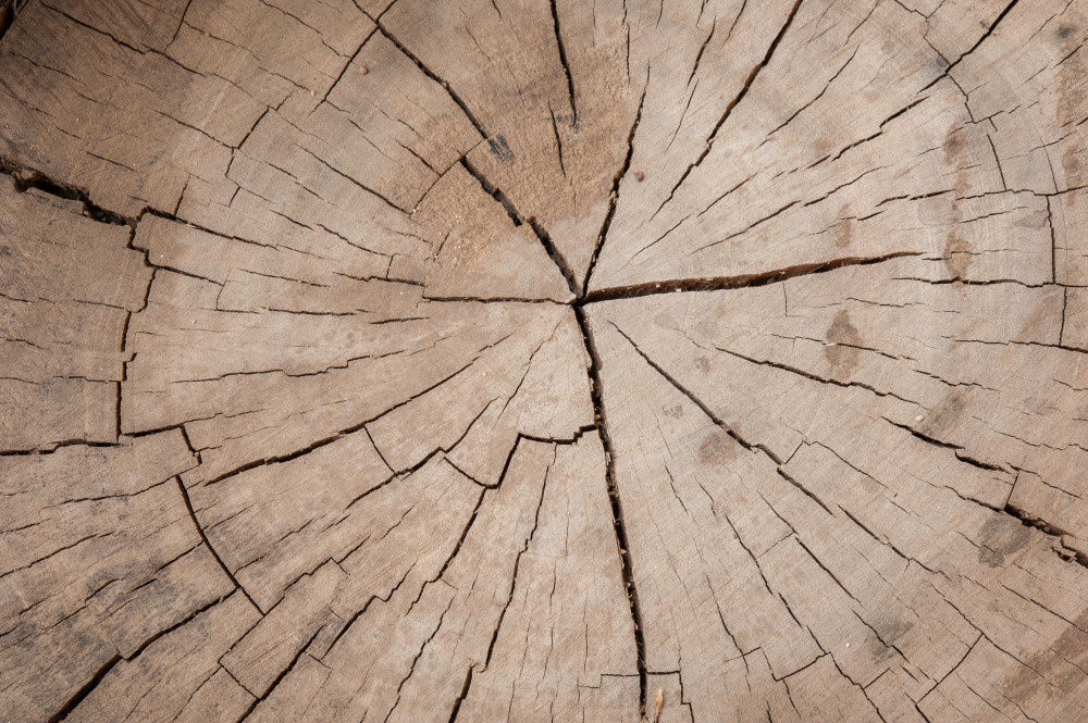 14 — деревянные фоны