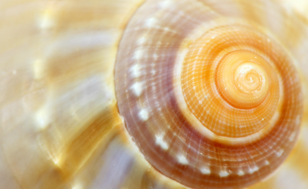 04 — животный и водный мир