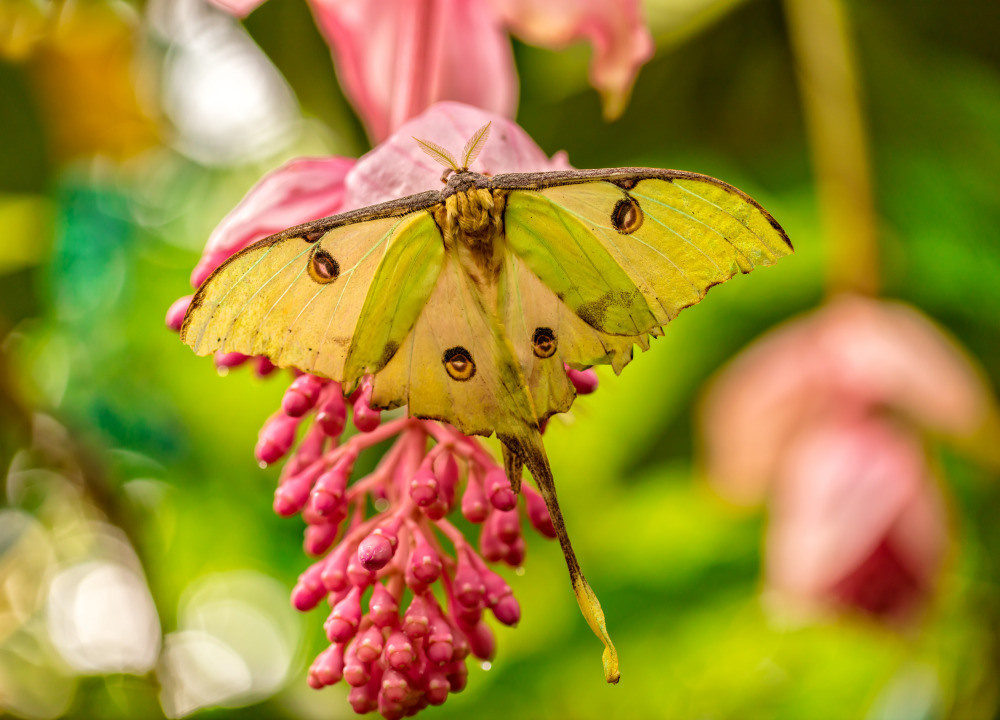 04 — животный и водный мир