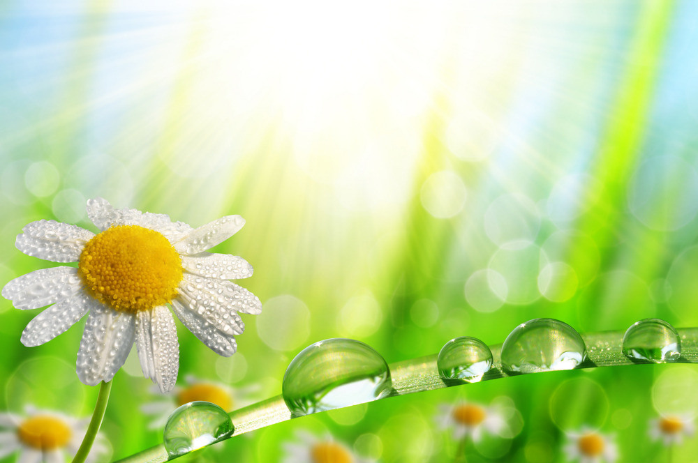 05 - природа и пейзажи