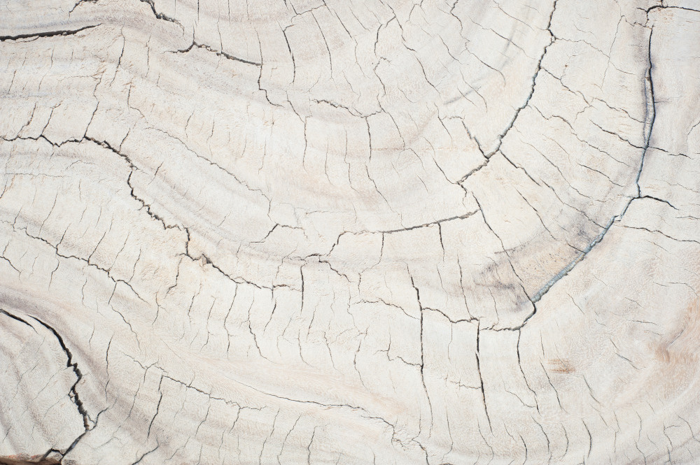 14 — деревянные фоны