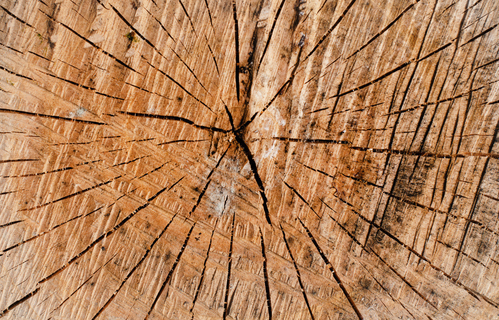 14 — деревянные фоны