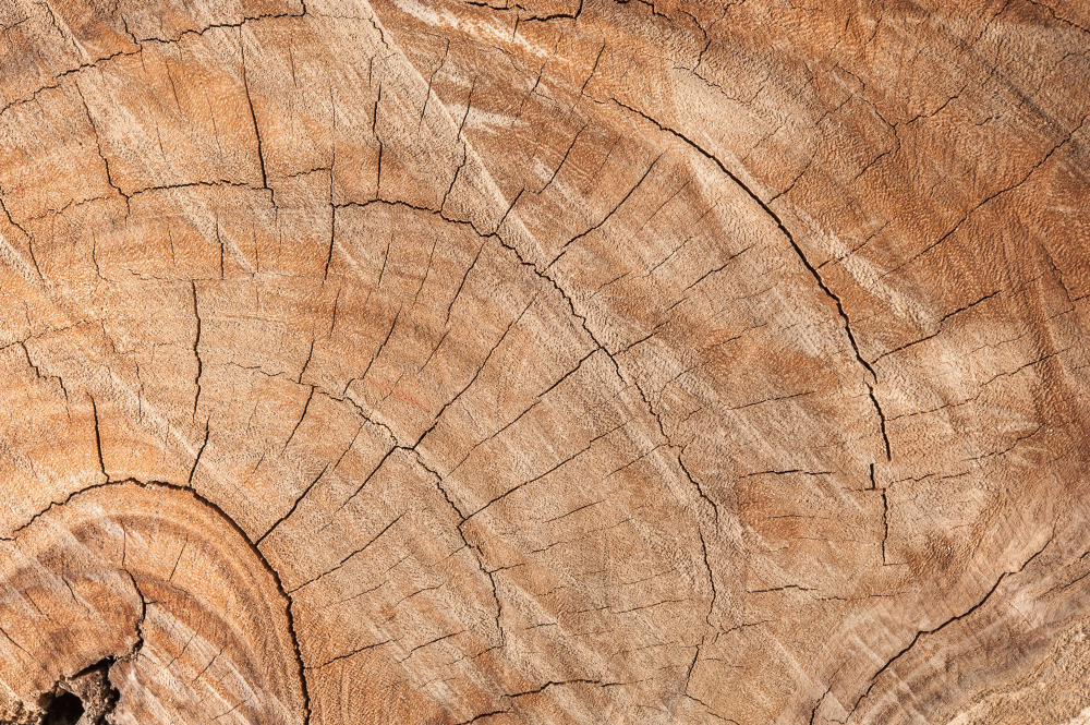 14 — деревянные фоны