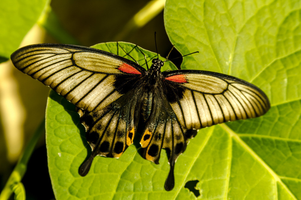 04 — животный и водный мир