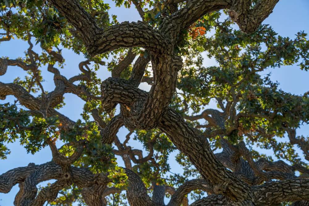 05 - природа и пейзажи