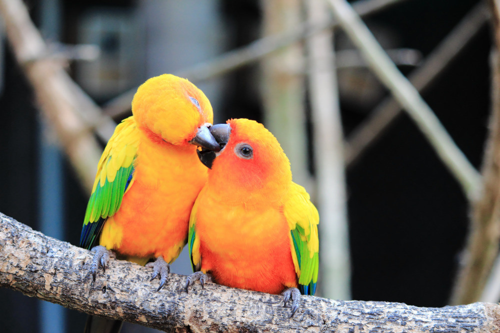 04 — животный и водный мир