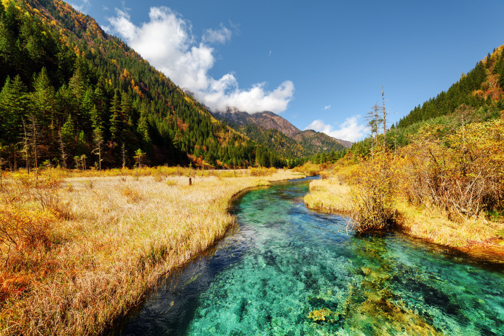 05 - природа и пейзажи