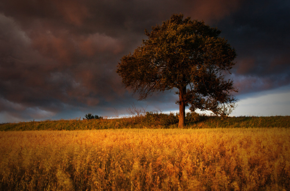 05 - природа и пейзажи