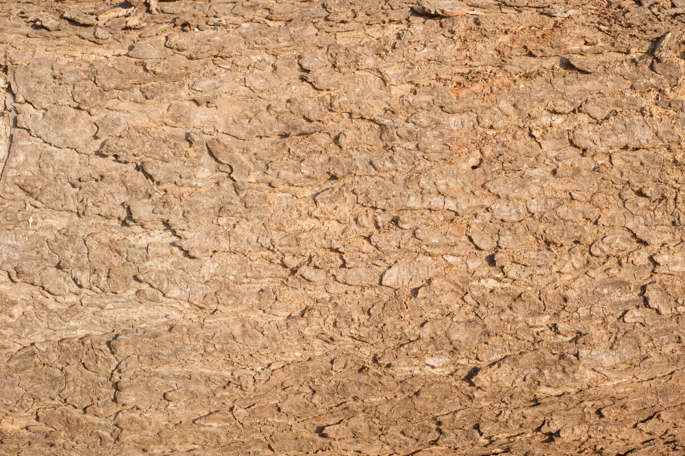 14 — деревянные фоны