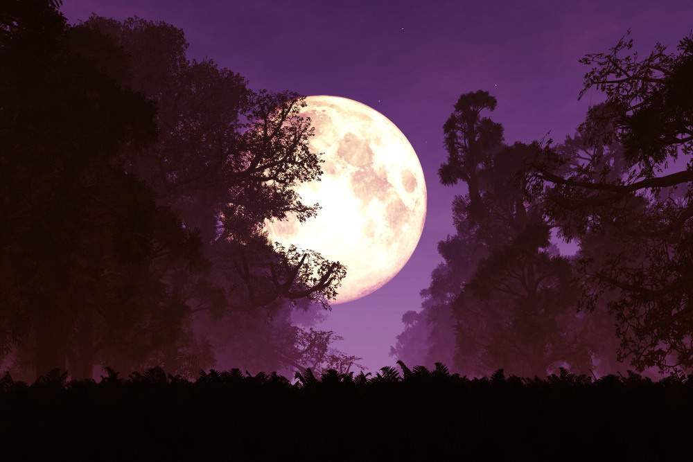 05 - природа и пейзажи