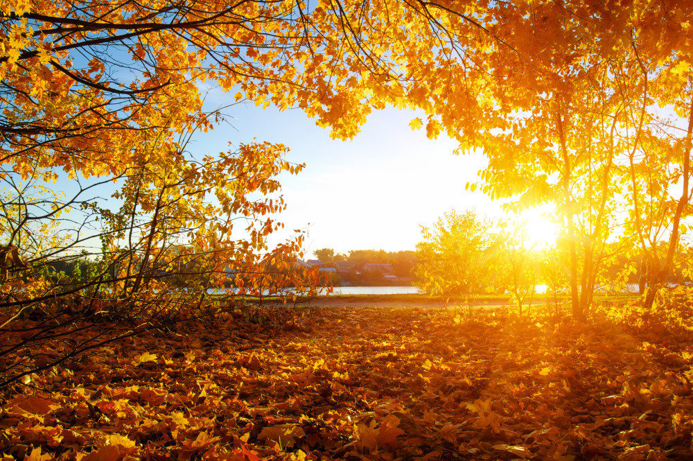 05 - природа и пейзажи