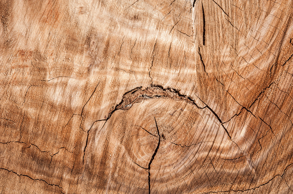 14 — деревянные фоны