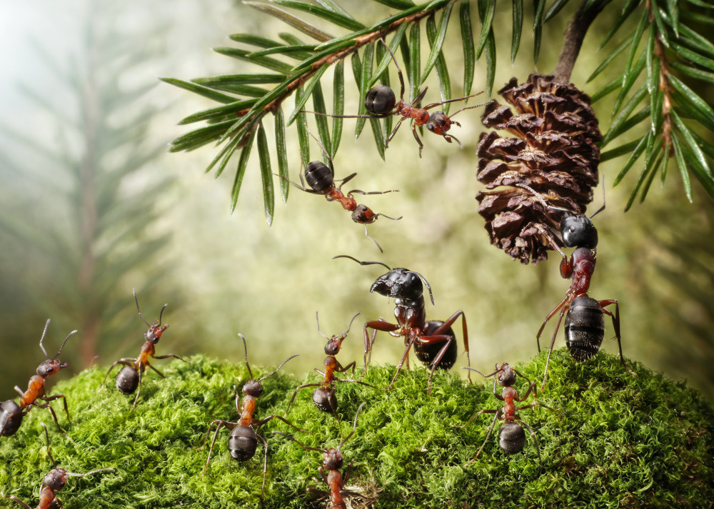 17 — арт, концепты