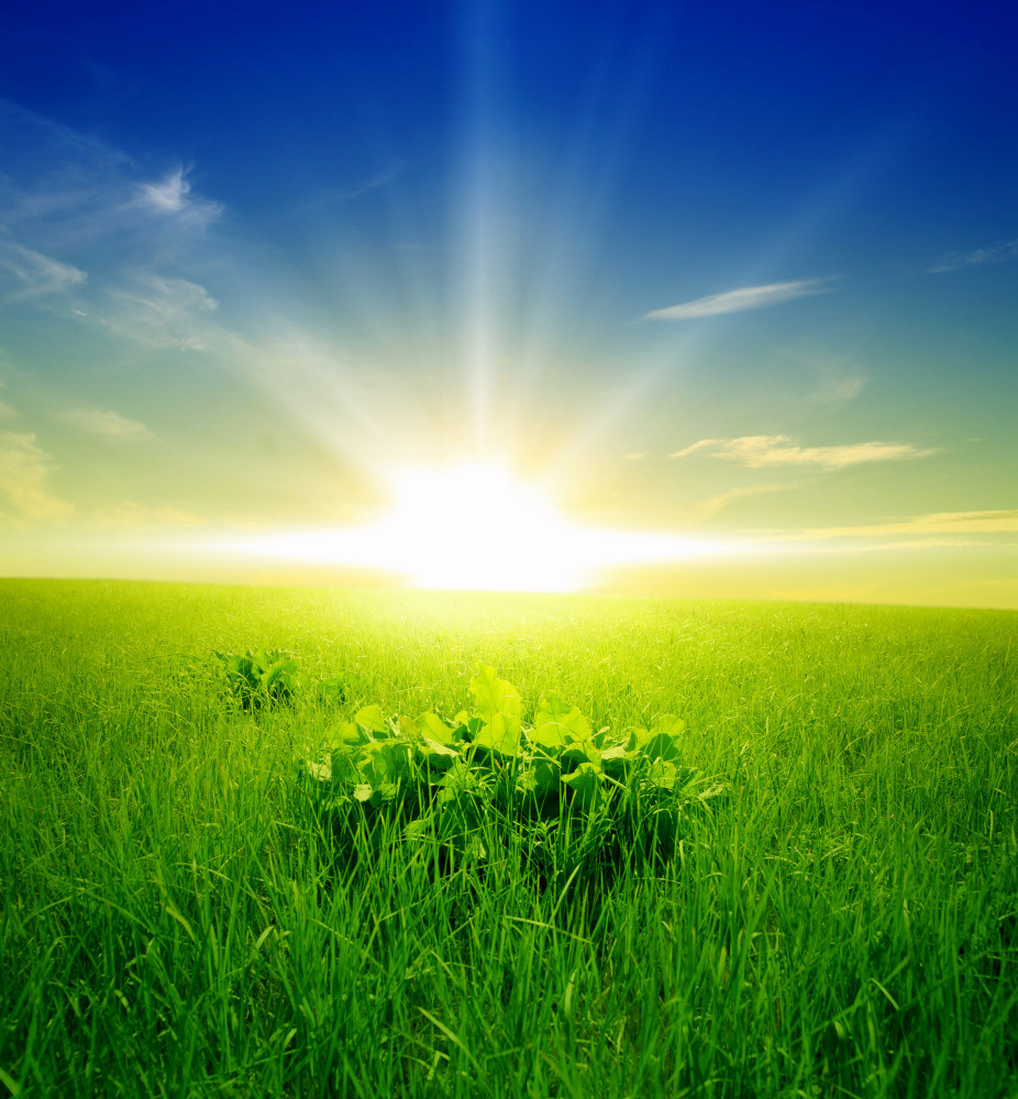 05 - природа и пейзажи