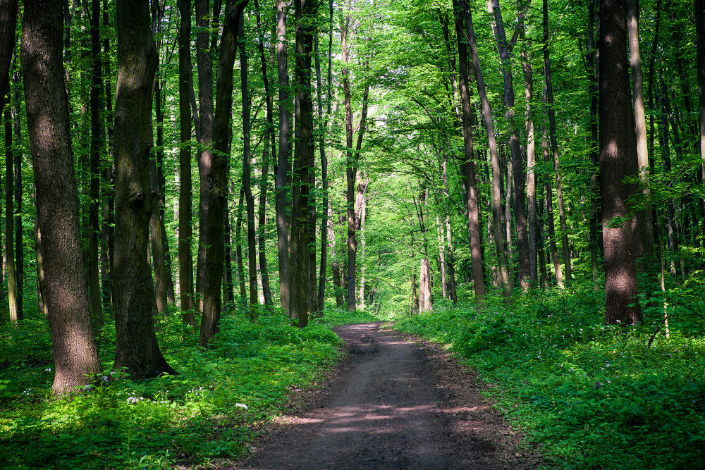 05 - природа и пейзажи