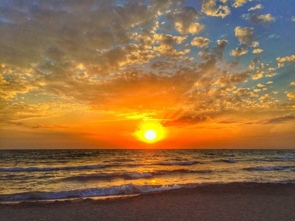 05 - природа и пейзажи