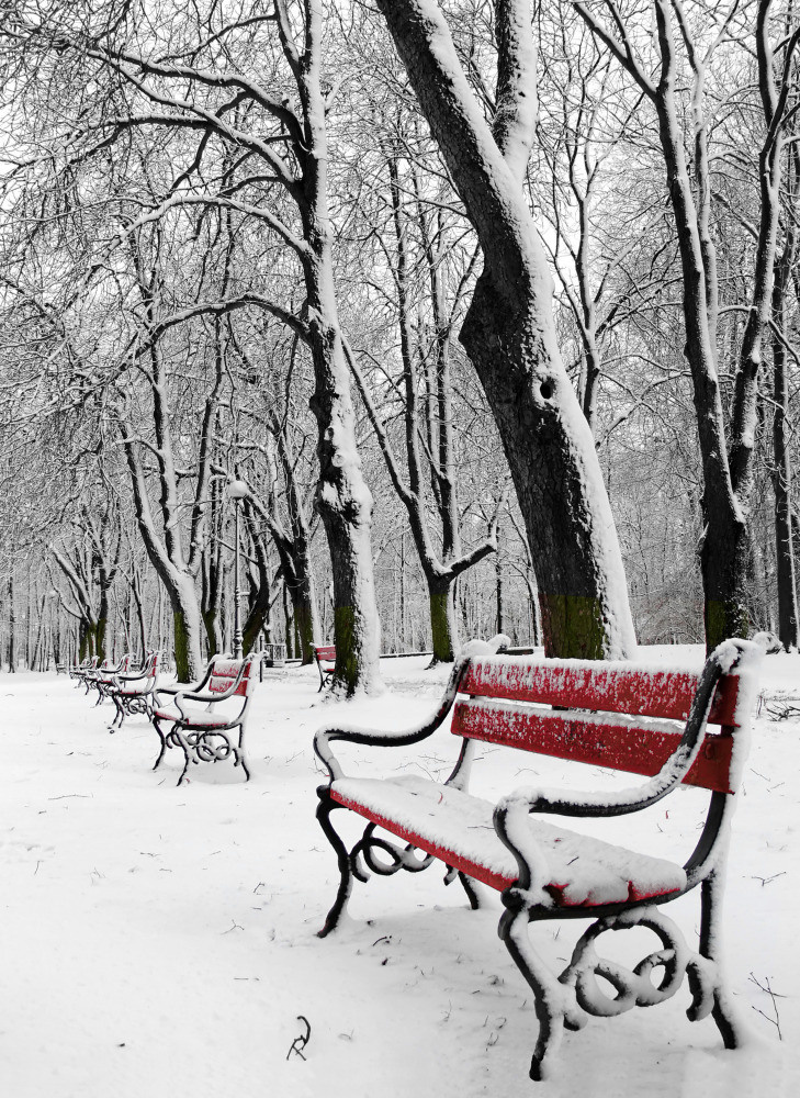 05 - природа и пейзажи