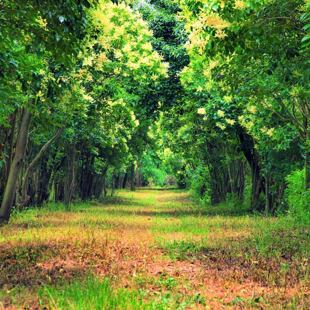 05 - природа и пейзажи