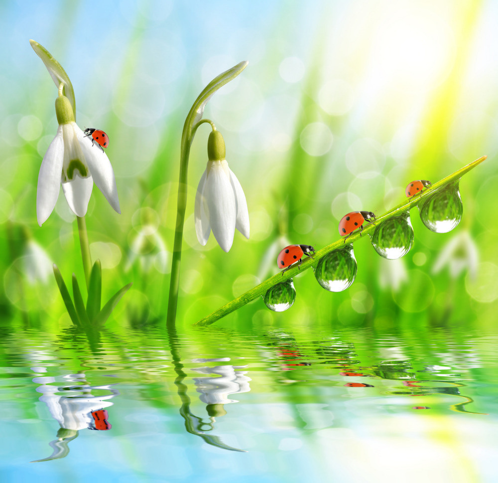 05 - природа и пейзажи