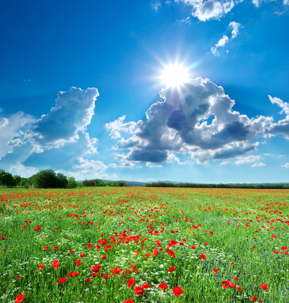 05 - природа и пейзажи