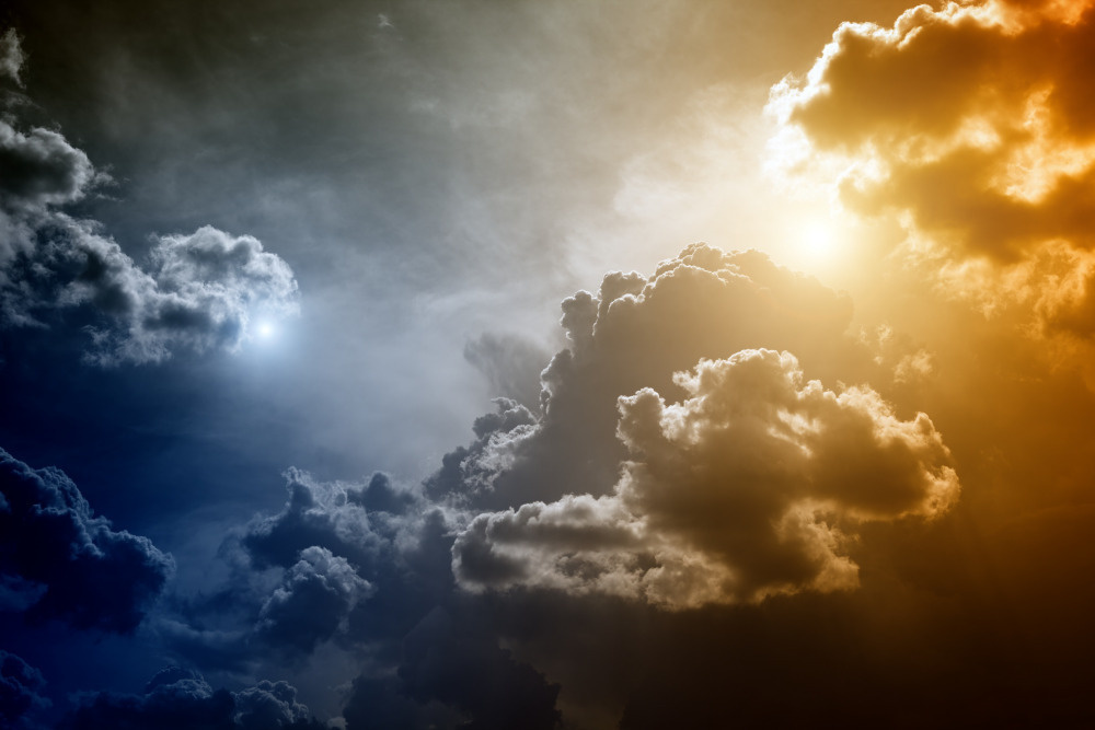 08 — дизайнерские принты