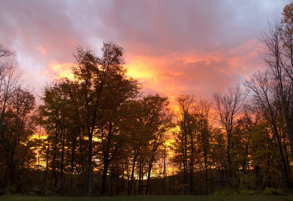 05 - природа и пейзажи