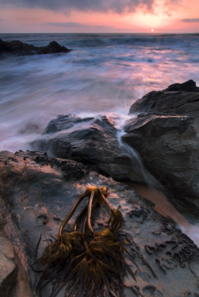 05 - природа и пейзажи