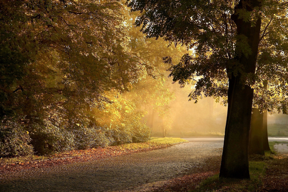 05 - природа и пейзажи