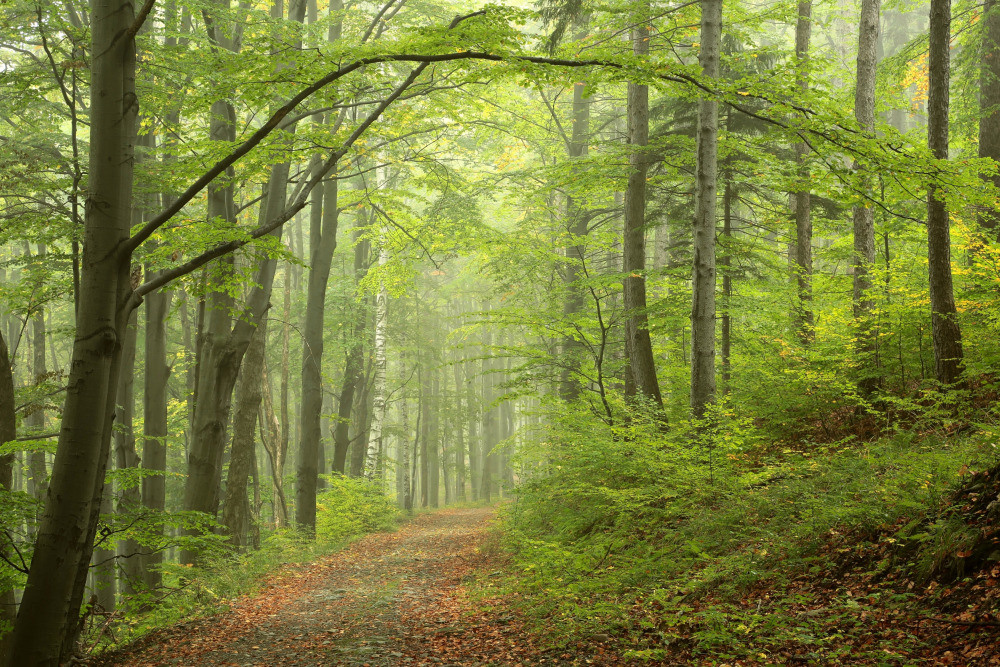 05 - природа и пейзажи