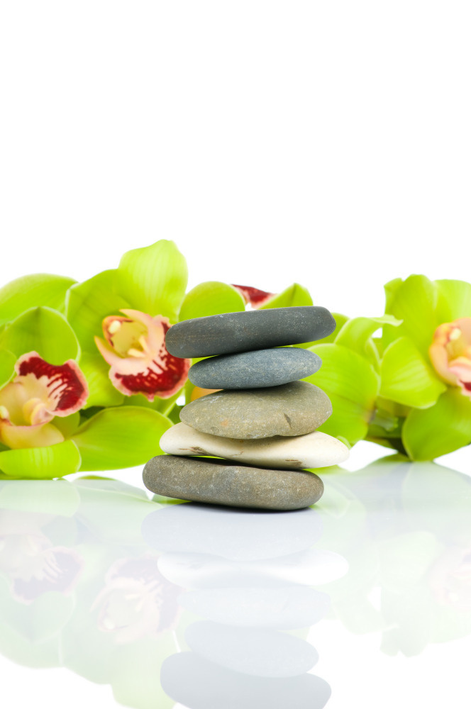 03 — цветы — растения — фрукты