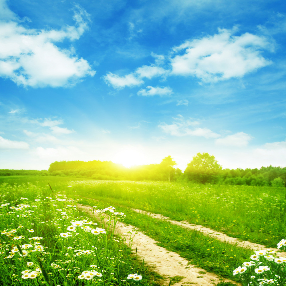 05 - природа и пейзажи