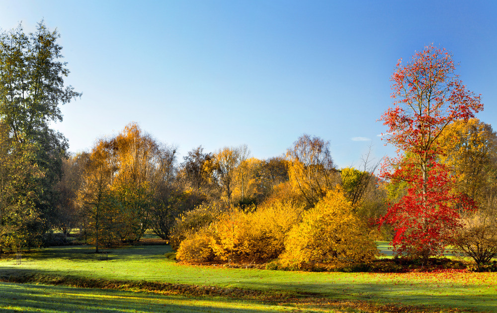 05 - природа и пейзажи