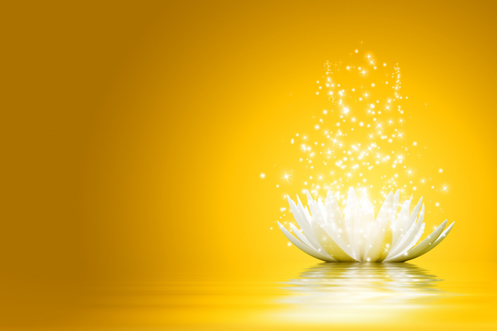 03 — цветы — растения — фрукты