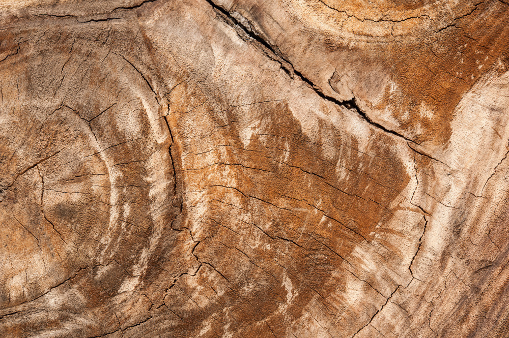 14 — деревянные фоны