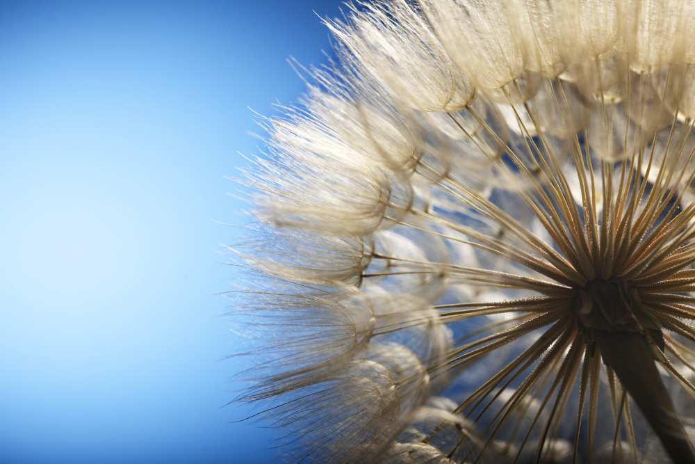 05 - природа и пейзажи