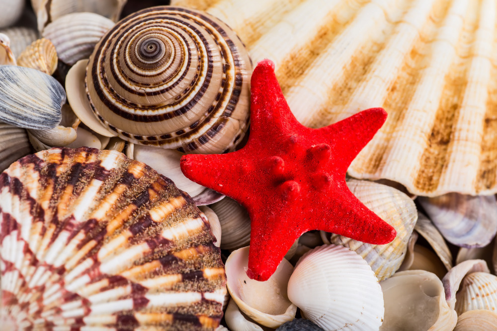 16 — разные фоны